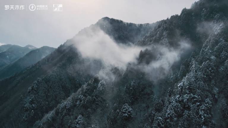 金龙娱乐木作 静奢系列